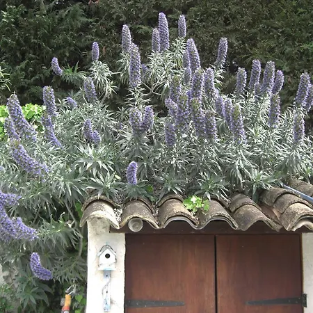 Les Hauts Du Baousset Holiday home *