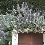 Les Hauts Du Baousset Σπίτι διακοπών *