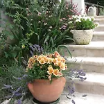 Les Hauts Du Baousset * Μεντόν