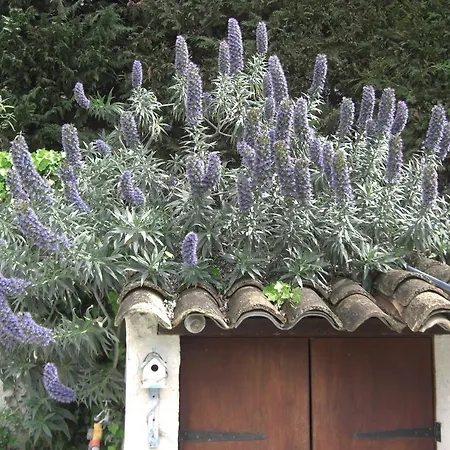 Les Hauts Du Baousset Сasa de vacaciones *