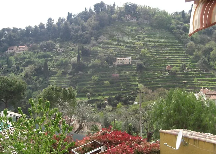 Les Hauts Du Baousset * Menton
